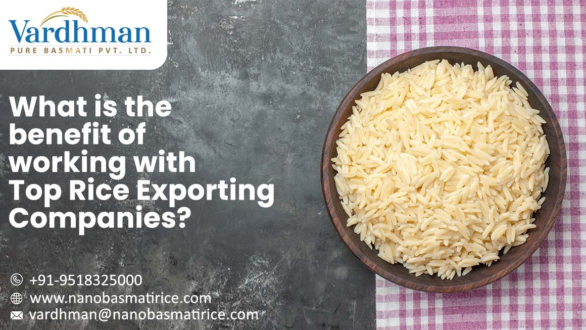 Top Rice Exporting Companies