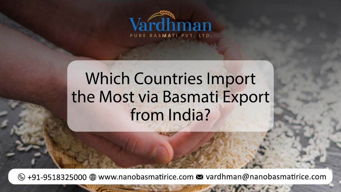 Basmati Export from India