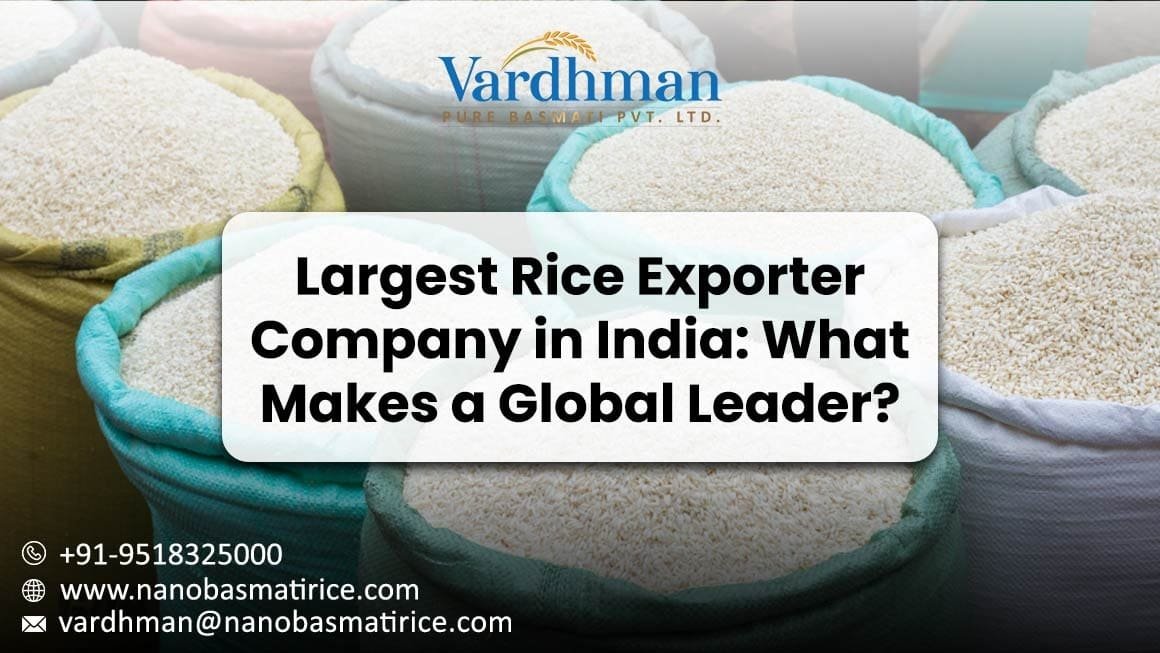 Largest Rice Exporter Company in India What Makes a Global Leader